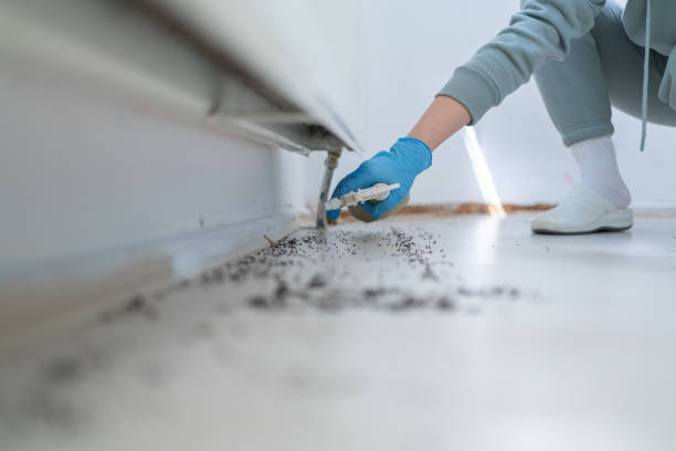 Reliable Mansfield, MO Pest Control Solutions